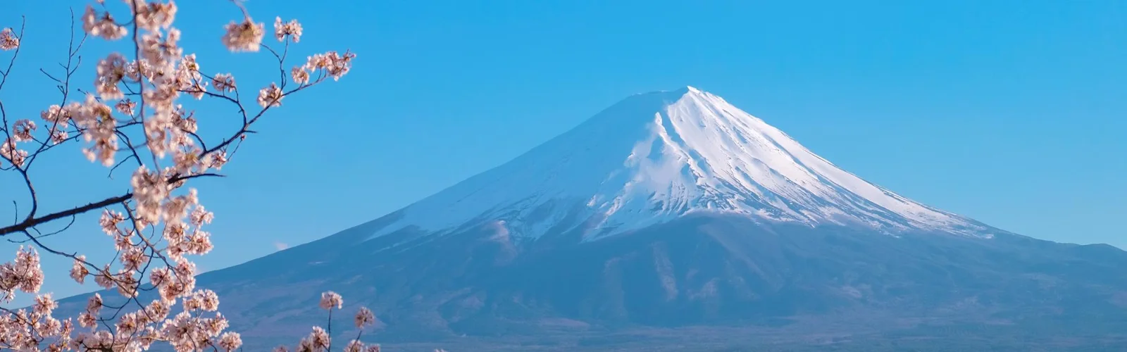 Japón